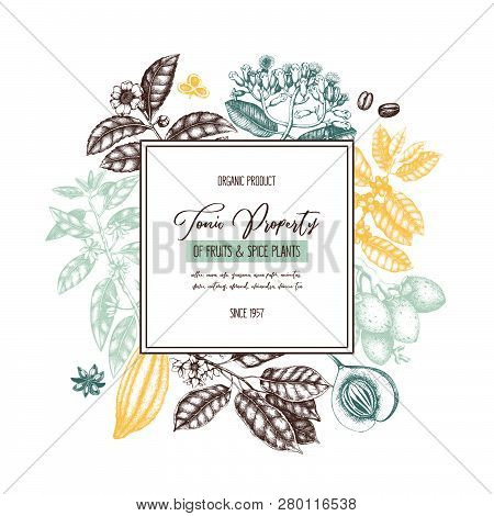 Tonic_plants_4_1
