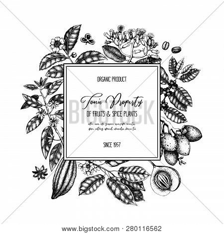 Tonic_plants_4_2