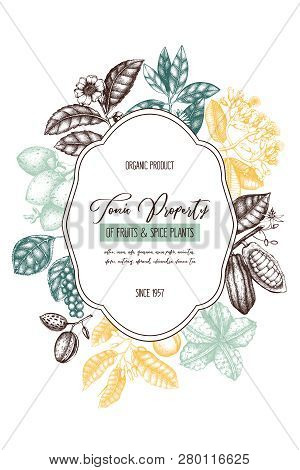 Tonic_plants_5_1