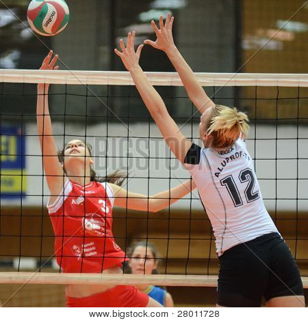 KAPOSVAR, 헝가리-11 월 25 일: Zsofia Harmath (레드 3) 헝가리어 챔피언 voll에서 행동