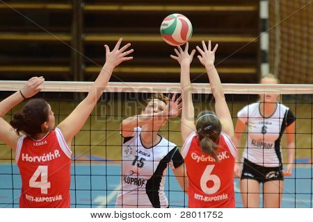 헝가리 챔피언 vo에 행동에 KAPOSVAR, 헝가리-11 월 25 일: Kamilla Gyorbiro (레드 6)