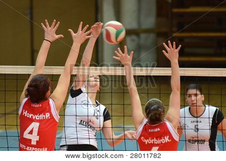 KAPOSVAR, 헝가리-11 월 25 일: 페트라 Horvath (레드 4) 헝가리 선수권 volle에서 행동