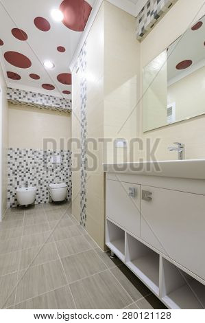 Modern bathroom interior, locker with mirro, toilet and bidet together