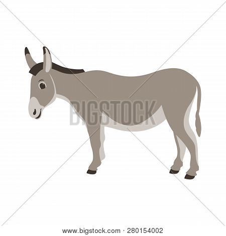 Cartoon Donkey ,vector Illustration ,flat Style ,profile View