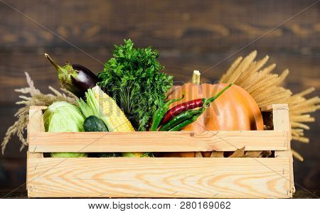 Excellent Quality Vegetables. Grocery Shop Concept. Delivery Service Fresh Vegetables From Farm. Buy