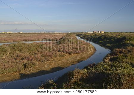 View Of The Pond Santa Gilla In Cagliari