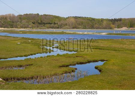 Beautiful View Of Meadow By A Holbaek Fjord, Denmark