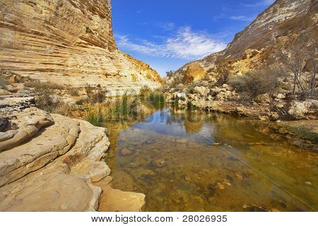  Uma parte pantanosa do fluxo En? vd??? no início da Primavera
