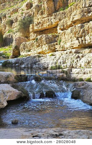 Lavvandede stream i droughty bjergene i Israel