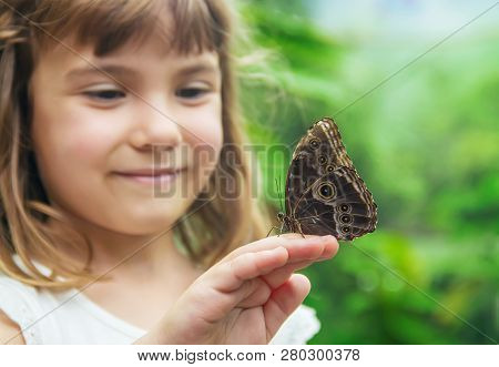 Child With A Butterfly. Idea Leuconoe. Selective Focus.
