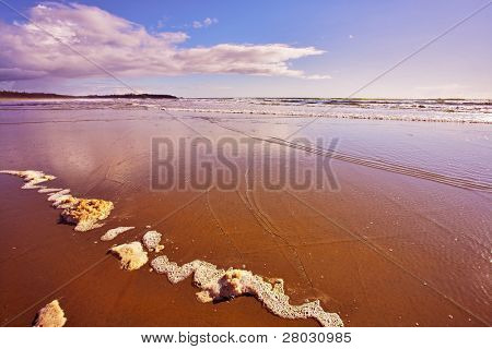 Kusten Stilla havet under utflöde i kväll twilight