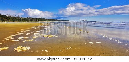 Breda sandstranden och havet skum på sand under utflöde