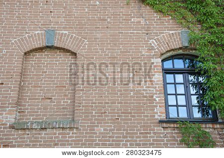The Classic Effect Of Ivy. Green Ivy Plant Climbing Brick Wall. House Building Covered With Ivy. Old