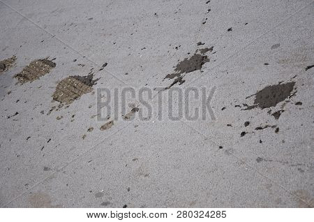 Traces On Road. Tire Tracks And Animal Excrement On Rural Road. Tire Tread Imprint And Droppings. Li