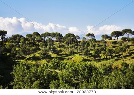 großer Park in einem Vorort von Madrid, fotografiert von einer Seilbahn teleferico