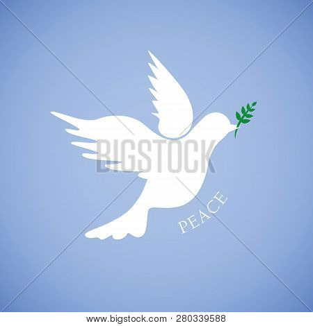 White Dove For Peace On Blue Background Vector Illustration