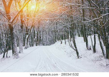 Silence On A Winter Road In The Forest. Lots Of Snow In Winter Time