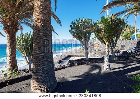 Puerto Del Carmen Beach In Lanzarote, Canary Islands, Spain. Blue Sea, Palm Trees Promenade, , Selec