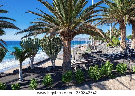 Puerto Del Carmen Beach In Lanzarote, Canary Islands, Spain. Blue Sea, Palm Trees, Promenade, Select