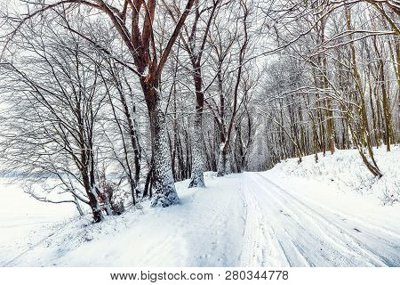 Silence On A Winter Road In The Forest. Lots Of Snow In Winter Time