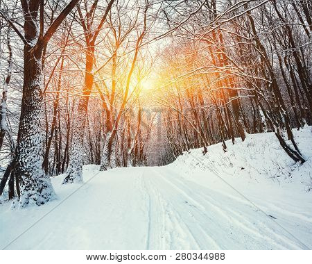 Silence On A Winter Road In The Forest. Lots Of Snow In Winter Time