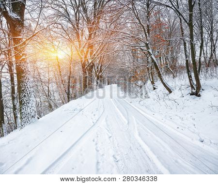 Silence On A Winter Road In The Forest. Lots Of Snow In Winter Time