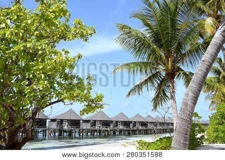 Maledives, Hotel Locly Hats.