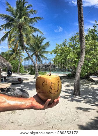 Maledives , Beautiful Nature Landscape In Tropical Island.