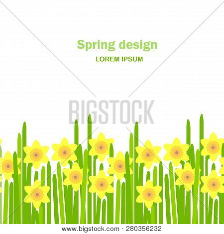Daffodil Seamless Background. Yellow Spring Flowers, Green Leaves On White Background, Spring Design