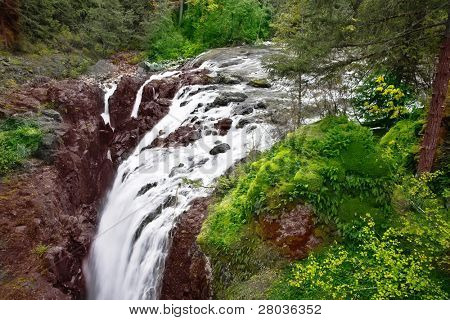 Cascata pitoresca cai Ilha Vancouver - Inglês River Falls