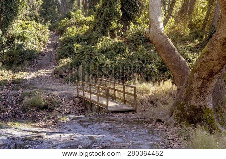 Wooden Bridge Over A Small River In The Mountains (greece, Attica, Mountains Parnitha)