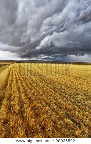Ogromne podnośnik powyżej pola Montana