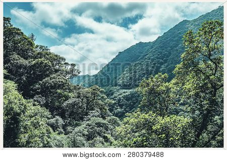Landscape Of A Sierra With Green Nature And Mountains. Brazilian - Serra Do Mar Paranaense. Photo Of