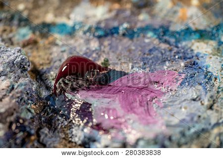 Oil Art Paints On A Very Old Palette. Close-up