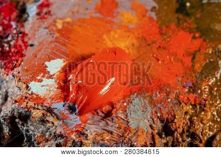 Oil Art Paints On A Very Old Palette. Close-up