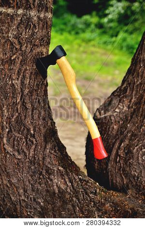 A Beautiful-shaped Ax Sticks Out In A Tree, With A Yellow Handle Close-up, On A Natural Background