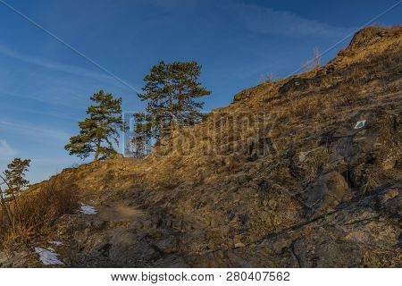 Sunrise On Boren Hill Near Bilina Town In Winter Frosty Color Morning With Pine Tree