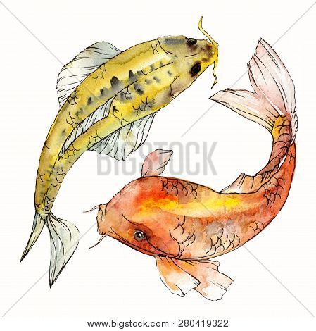 Watercolor Aquatic Underwater Colorful Tropical Fish Set. Red Sea And Exotic Fishes Inside: Goldfish