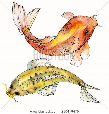 Watercolor Aquatic Underwater Colorful Tropical Fish Set. Red Sea And Exotic Fishes Inside: Goldfish
