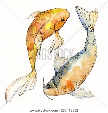 Watercolor Aquatic Underwater Colorful Tropical Fish Set. Red Sea And Exotic Fishes Inside: Goldfish