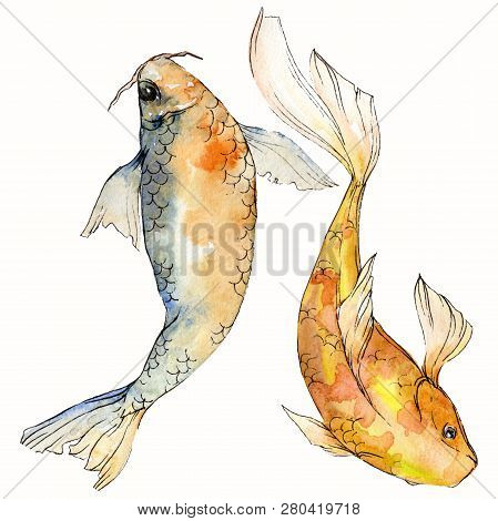 Watercolor Aquatic Underwater Colorful Tropical Fish Set. Red Sea And Exotic Fishes Inside: Goldfish