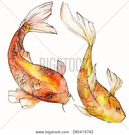 Watercolor Aquatic Underwater Colorful Tropical Fish Set. Red Sea And Exotic Fishes Inside: Goldfish