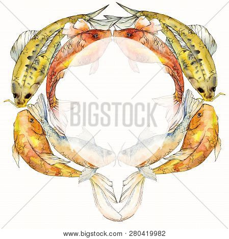 Watercolor Aquatic Underwater Tropical Fish Set. Red Sea And Exotic Fishes Inside: Goldfish. Frame B