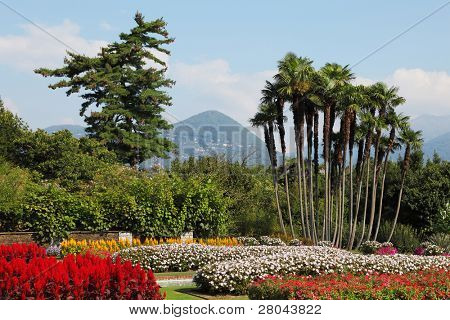  Parc Villa Taranto, les fleurs rouges, jaunes et blanches aux couleurs vives et les palmiers. Magnifique paysage tranquil.
