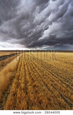 Burzowe nad pola po zbiorze. Montana, Stany Zjednoczone Ameryki