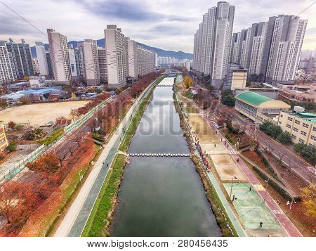 Autumn Of Oncheoncheon Citizen Park, Busan, South Korea