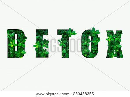 Word Detox Is Made From Green Leaves. Concept Of Diet, Cleansing The Body, Healthy Eating, Ditital D