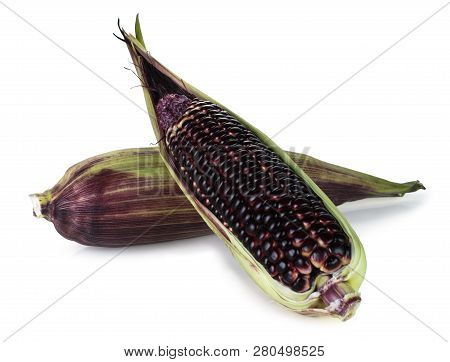 Siam Ruby Queen Is Super Sweet Corn With Red Color, Can Be Eaten Fresh, Isolated On A White Backgrou