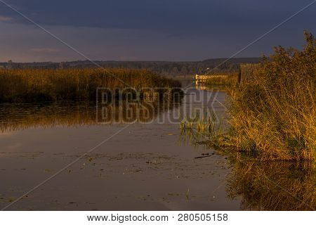 Morning Mood At The Federsee, Bad Buchau, Baden-wurttemberg, Ger