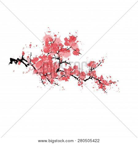 Abstract Sakura Blossom Isolated On White Background.